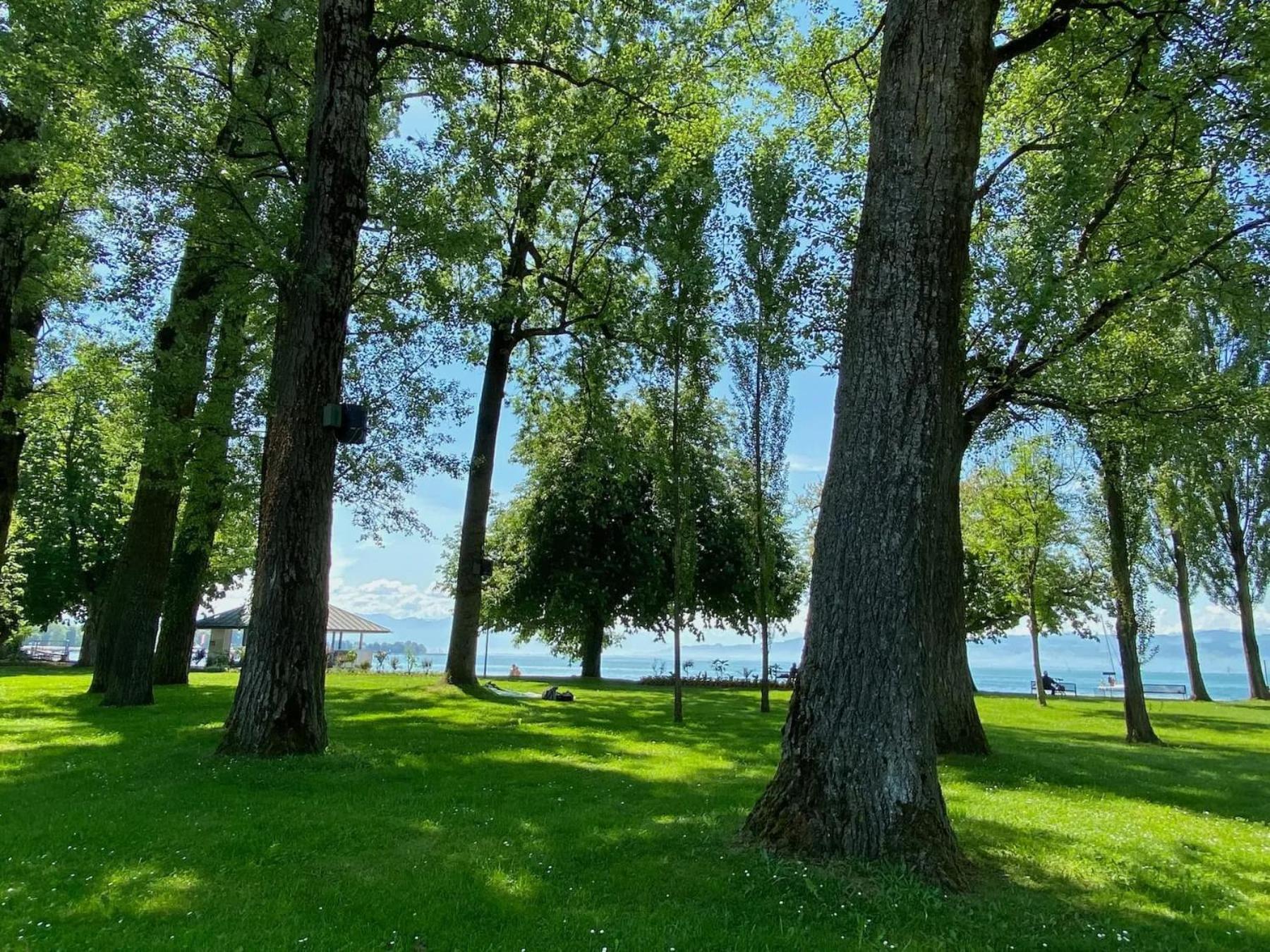 Ferienwohnung Alina Kressbronn am Bodensee Extérieur photo