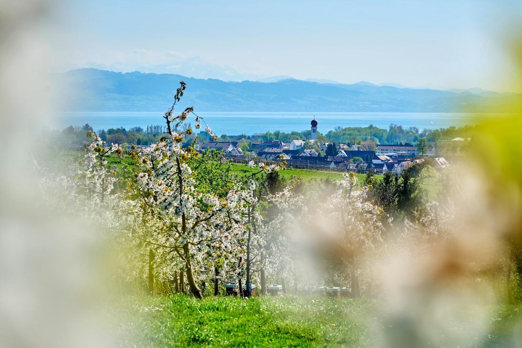 Ferienwohnung Alina Kressbronn am Bodensee Extérieur photo