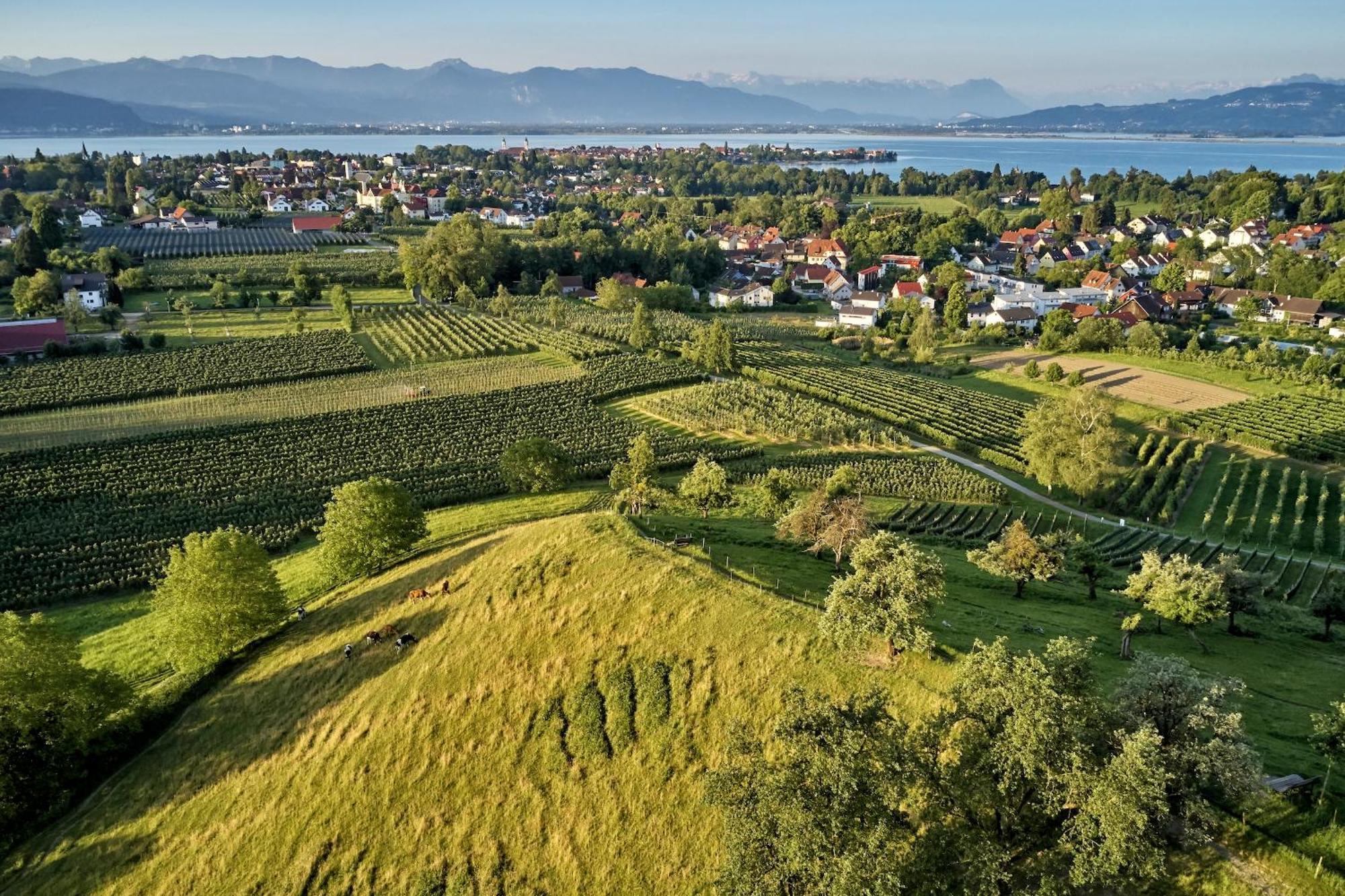 Ferienwohnung Alina Kressbronn am Bodensee Extérieur photo